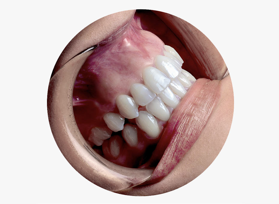 Loupes+Light Page Mag Image