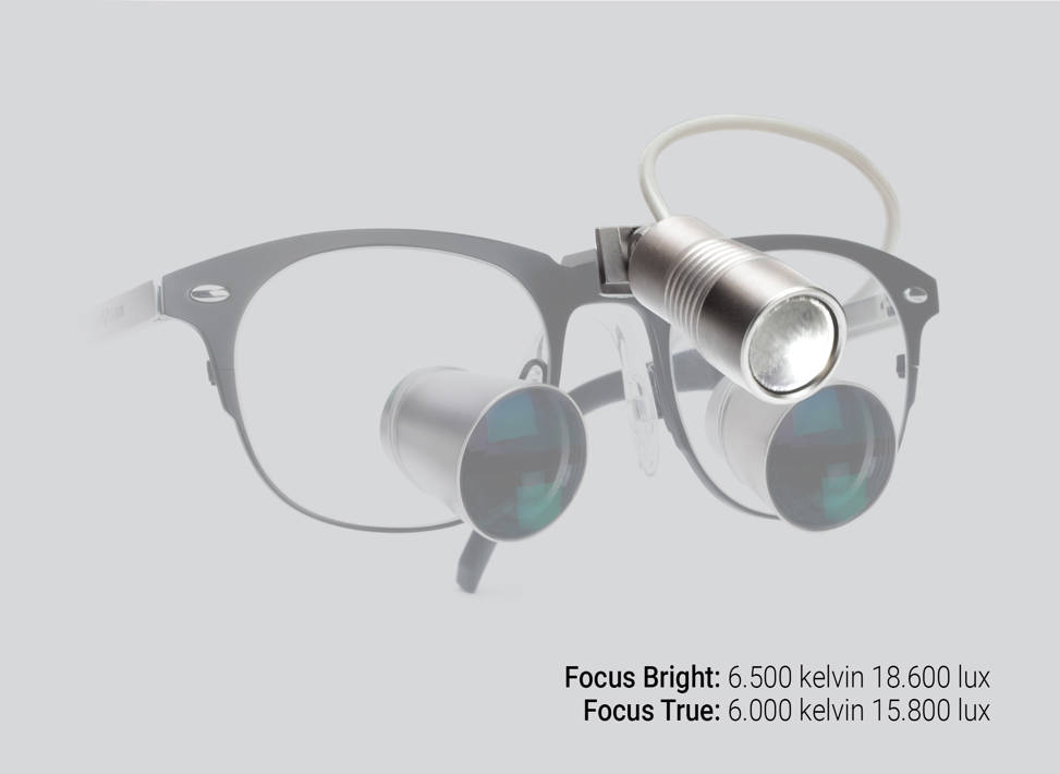 Focus Bright & Focus True